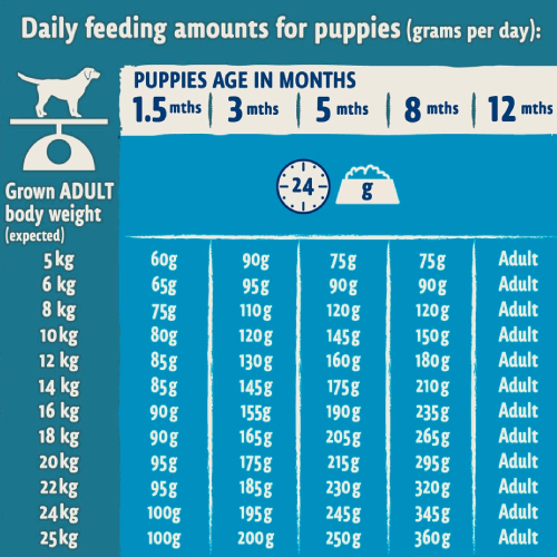 Purina BETA Puppy Food Dry Puppy Food Pet Drugs Online